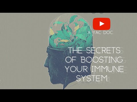 🎯 The Secrets