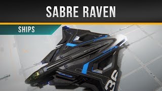 ✖ Star Citizen » Sabre Raven