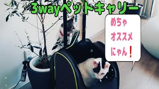 めちゃくちゃ使えるよ❗"3wayペットキャリー"(本当はワンちゃん用品)【mainichi_nekomaturi】No.57