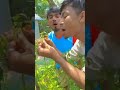 Very interesting comedy funny video. Viral trending comedy video of 2026 Very special video 🤣🤣