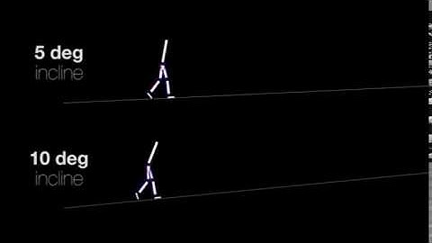Predictive Simulation Generates Human Adaptations during Loaded and Inclined Walking