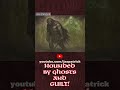 The Ghosts And Guilt Hound Hashtag Warrior! Swole Bro Saga Gym Dude | Jas Patrick #shorts #fantasy