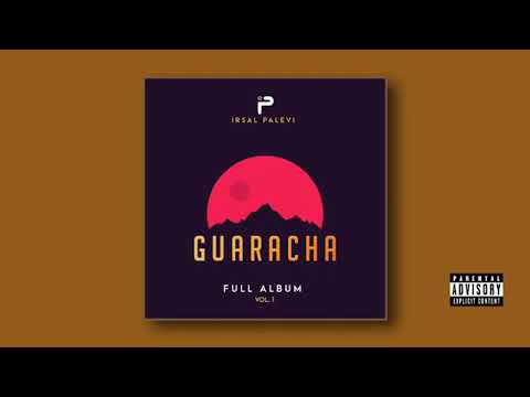 POJI VIDRADO (Brasilero Mix)🎺🇧🇷 Irsal Palevi