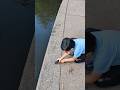 Rescuing FishЁЯРа Viral Trending Funny Fishing Shorts Ytshorts Youtubeshorts Viralshorts Cute Rescuing FishЁЯРа Viral Trending Funny Fishing Shorts Ytshorts Youtubeshorts Viralshorts Cute