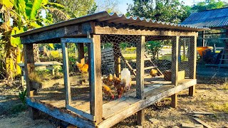 Construí um galinheiro em 4 Dias!