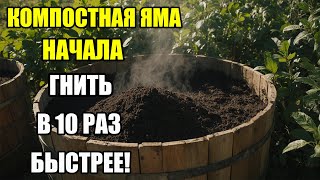 картинка: Быстрый перегной: проверенный метод ускорения компоста.Что добавить в компостную яму