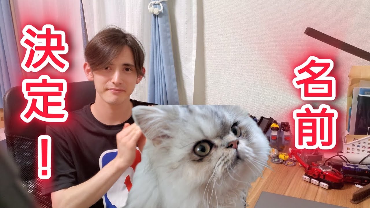 We've decided on a name for our new cat! - YouTube