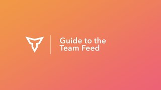 Guide to the Team Feed
