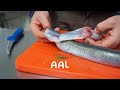 Aal  ausnehmen huten  filetieren xxl  fisch und grips