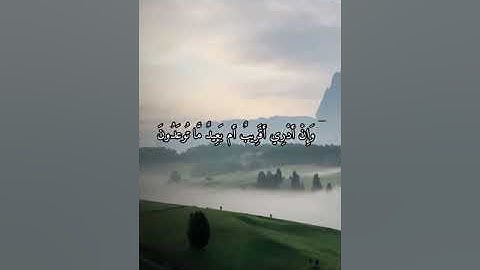 واتس اب قران كريم القارئ ياسر دوسري (سوره الأنبياء)