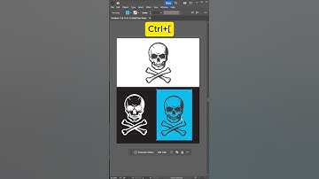 Invert your Logo Design Black to White in Adobe Illustrator cc Tutorial | Graphic Design