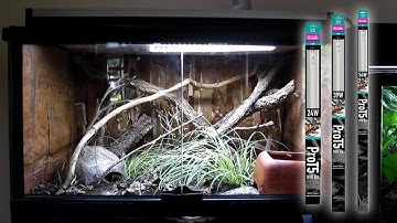 Pro T5- High-output T5 UVB lighting kits for Reptiles by Arcadia Reptile