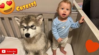 Puppy Wakes Up Happiest Baby Ever And Refuses To Leave Her Bed! ( SOO CUTE!!)