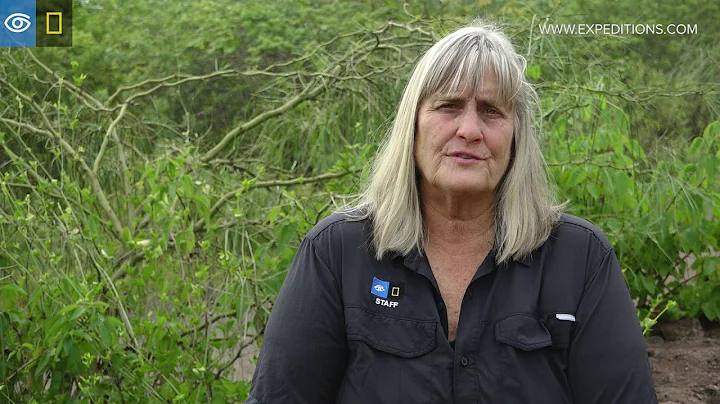 Women's History Month: Lynn Fowler | Lindblad Expe...