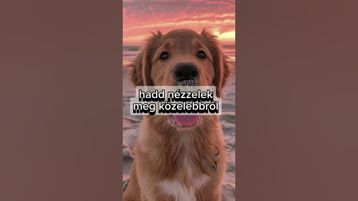 (Várd ki a végét)