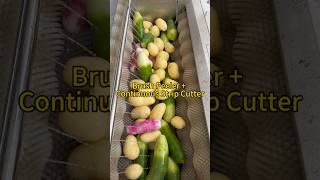 #FoodMachinery #VegetableProcessor #BrushPeeler #StripCutter #IndustrialEquipment