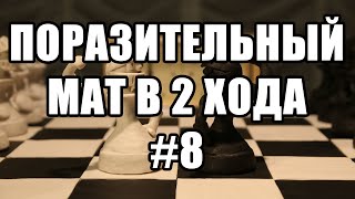 Шахматные задачи мат в 2 хода. Выпуск №8. Шахматы. Жертва ферзя. Решение задач. Шахматные заметки.