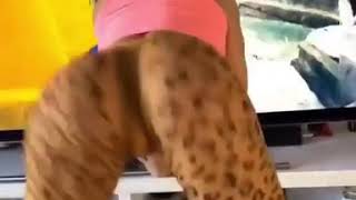 Popo Böyle Sallanır. (MÜTHİŞ) Popo Böyle Sallanır. (MÜTHİŞ)