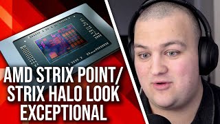 AMD Strix Point/ Strix Halo  A Revolution For Handheld + Laptop Gaming?