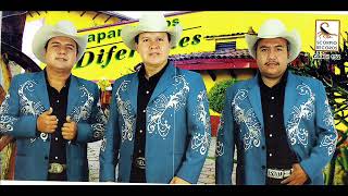 LA HISTORIA DE UN RANCHERO HUAPANGUEROS DIFERENTES