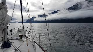 Johnstone Strait beauty