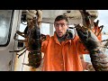 Massive twin lobsters from the deep