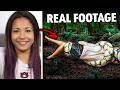 5 Most DISTURBING Times Tourists Were Eaten Alive On Vacation 5 Most DISTURBING Times Tourists Were Eaten Alive On Vacation
