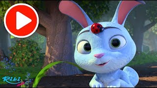 Песенки для детей - Про зайчика - Bunny Hop Song | LooLoo Kids на русском языке