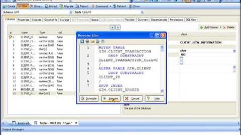 Embarcadero DBArtisan and Change Manager