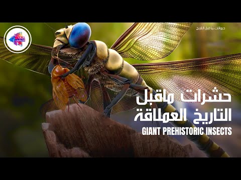 حشرات ما قبل التاريخ العملاقة