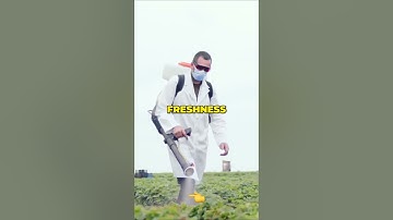 ⚠️Unveiling the Power of Nanotechnology: Enhancing Food Safety and Quality #Nanotechnology