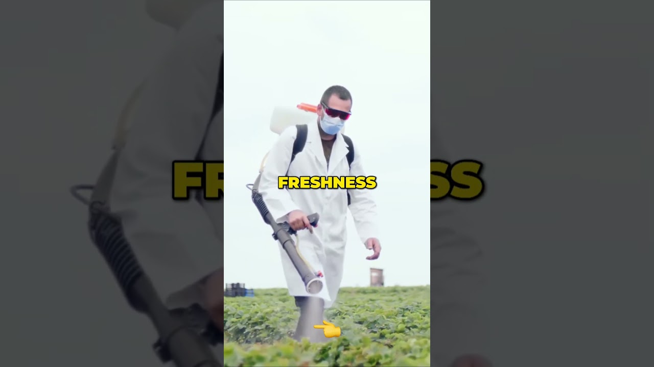 ⚠️Unveiling the Power of Nanotechnology: Enhancing Food Safety and Quality 