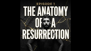The Anatomy of a Resurrection: Why Rock Bottom is Your Strategic Advantage