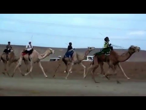 سباق الهجن بميدان البيرق بمحافظة ضباء العمود 1437