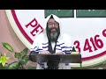 🔴SHALOM132: PESAJ CON MICROSCOPIO!! por el Roeh Eduardo Órdenes Cortes