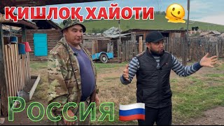 картинка: “Бундай уйда яшаган бўлармидингиз?” #уй #чорвачилик #қишлоқхўжалиги #узбекистан #киргизия 