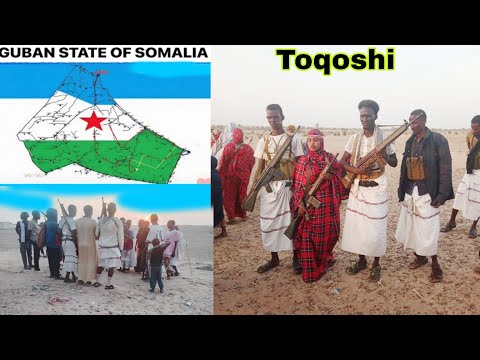 Toqoshi Shacabka Aya Si Rasmi Ah Ula Wareegay Amniga 