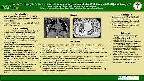 TN ACP Stenotrophomonas Maltophilia