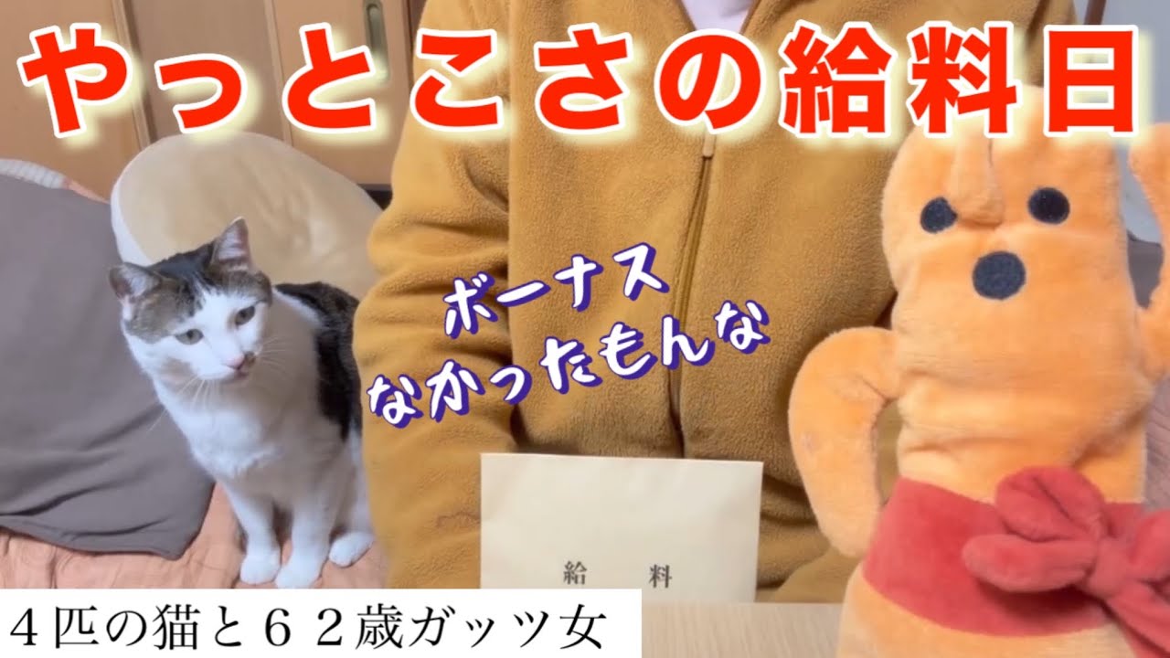 【猫と貧乏女】やっと給料日です。ボーナスが無かったので、年末年始のたくさんの誘惑、、、たえましたー。