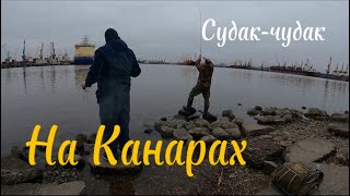 Ловля судака на Канонерском острове.Рыбалка в Ленинградской области.#рыбалка #спиннинг #джиг #судак