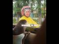 Cutest Otter Surprises Women on Bikes