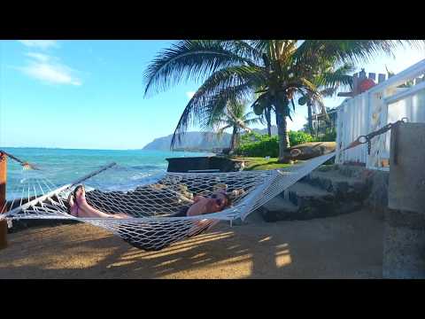 Video: Airbnb Pošilja Babico In Vnuka Na Havaje