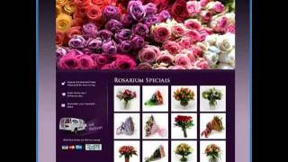 Introduction To Web Design