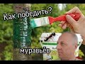 КАК ПОБЕДИТЬ МУРАВЬЁВ.РАЗ И НАВСЕГДА???