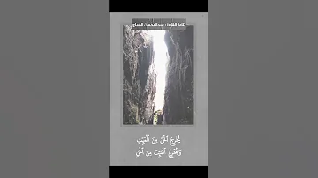 ف س ب ح ان الل ه ح ين ت م س ون و ح ين ت ص ب ح ون القارئ عبدالمحسن الضباح 