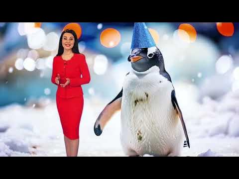 Порно жетілген жігітті алып кетеді