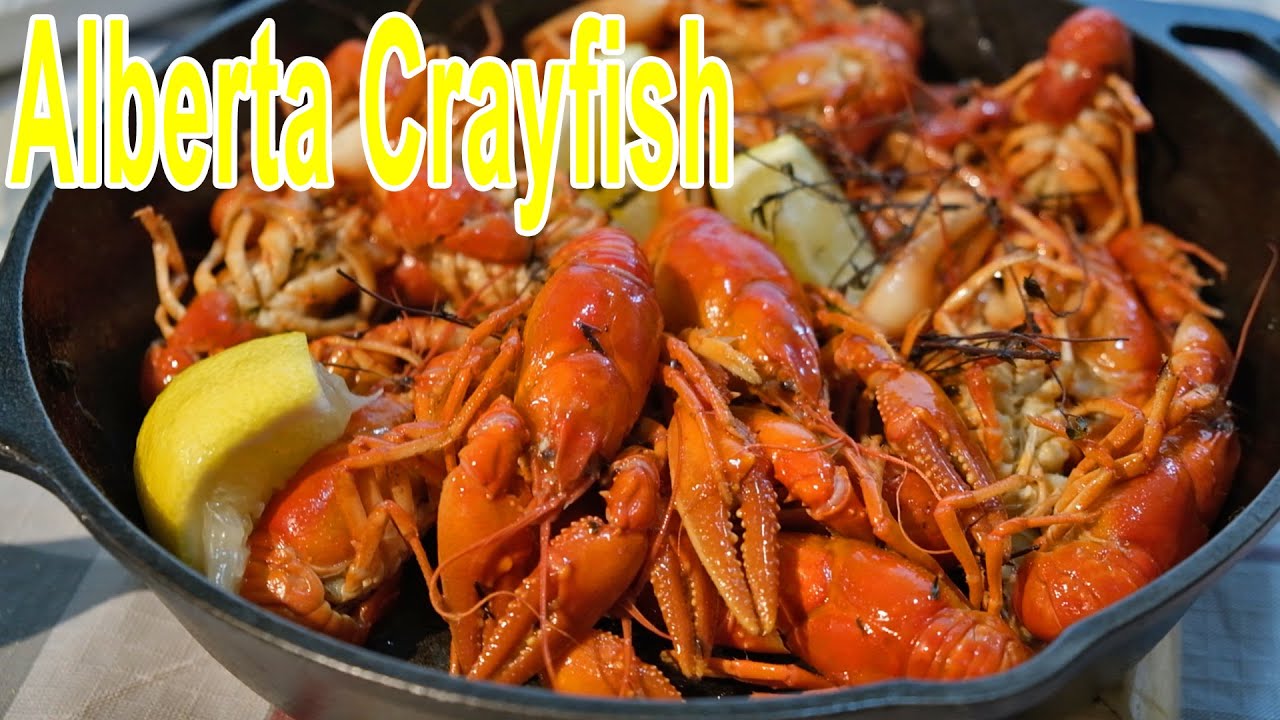 Catch & Cook -Alberta Crayfish- - YouTube