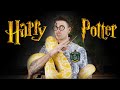 LES ANIMAUX D'HARRY POTTER N°2 ! - AMDE