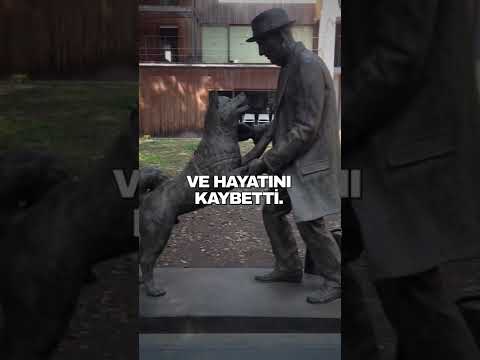 En Sadık Dostlarımız Köpekler ; Hachiko' nun Hikayesi #shorts