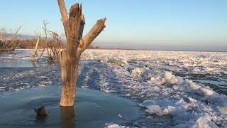 Зимняя рыбалка в Астрахани. Замьяны. Декабрь 2020
